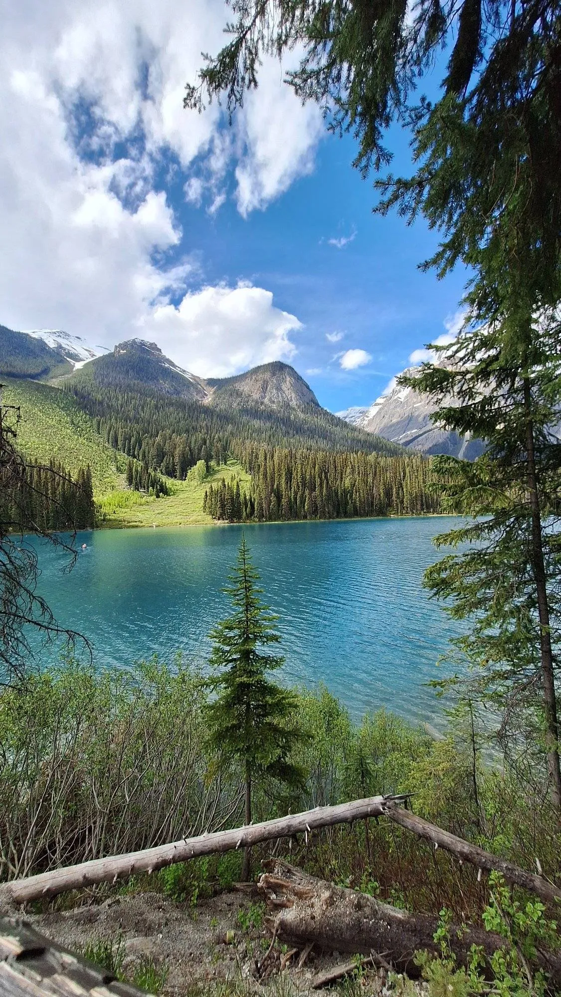 ছবি: Emerald Lake, Yoho National Park of Canada (লেখকের ক্যামেরায়)